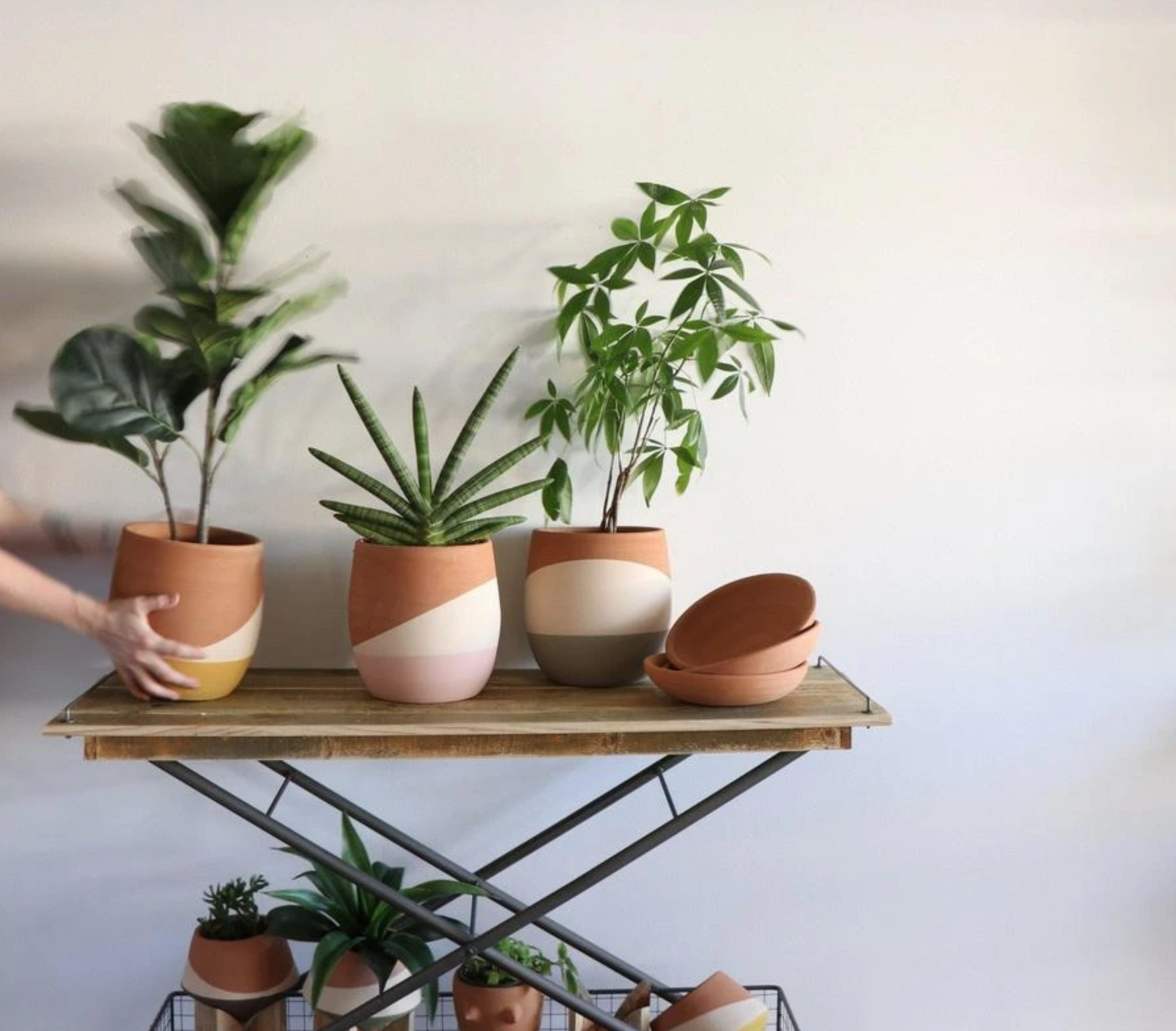 25 Eco Friendly Gifts for a Well Curated Home