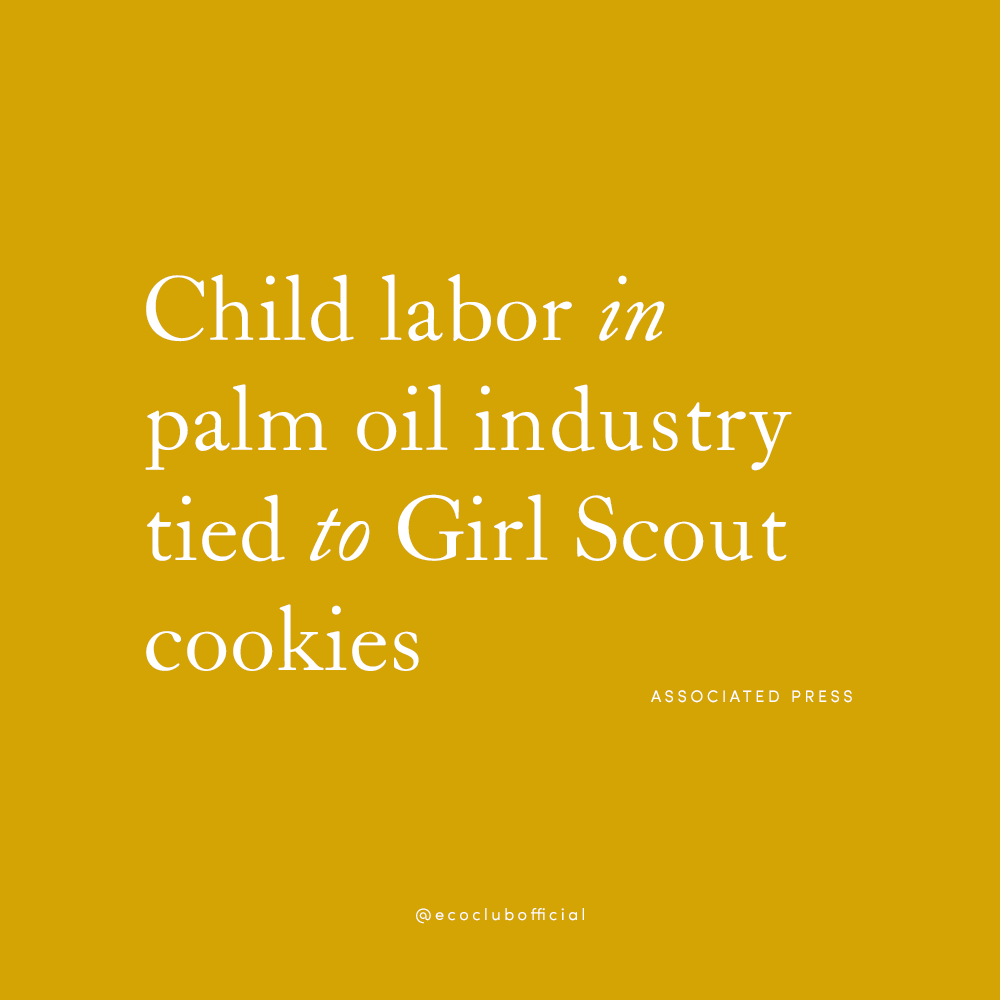 child labor in palm oil industry