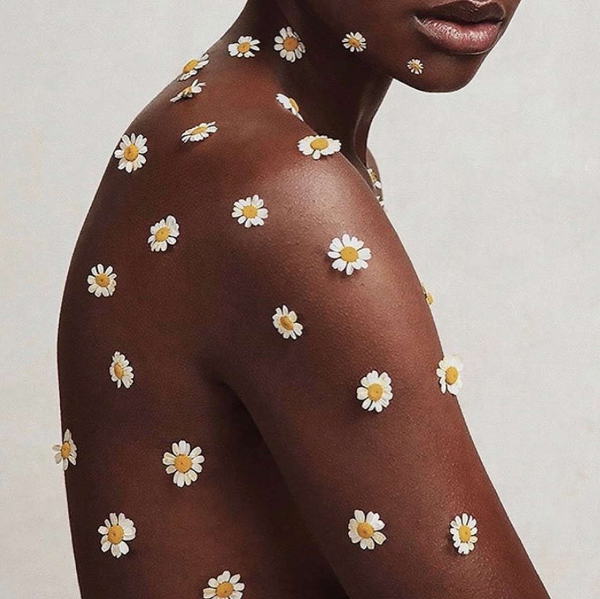 daisies @wearproclaim