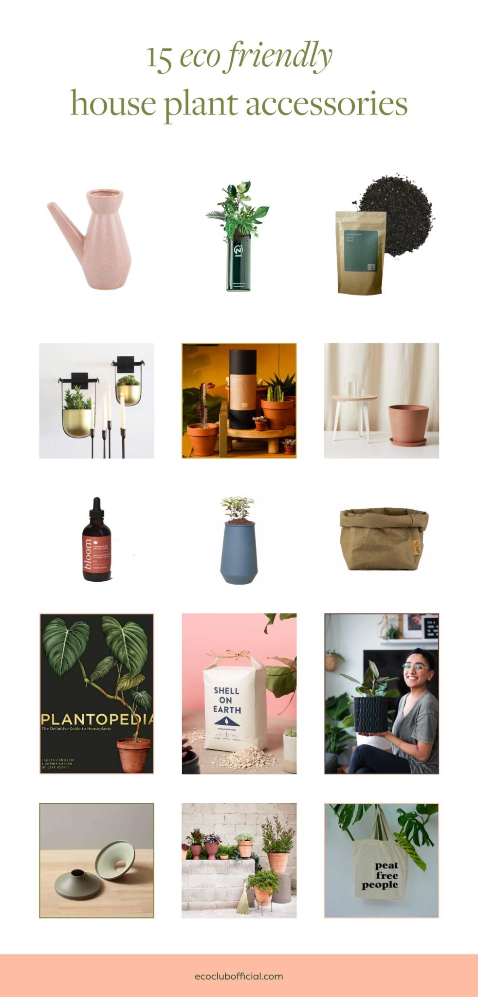 Sustainable Houseplant Supplies Eco Friendly House Plants