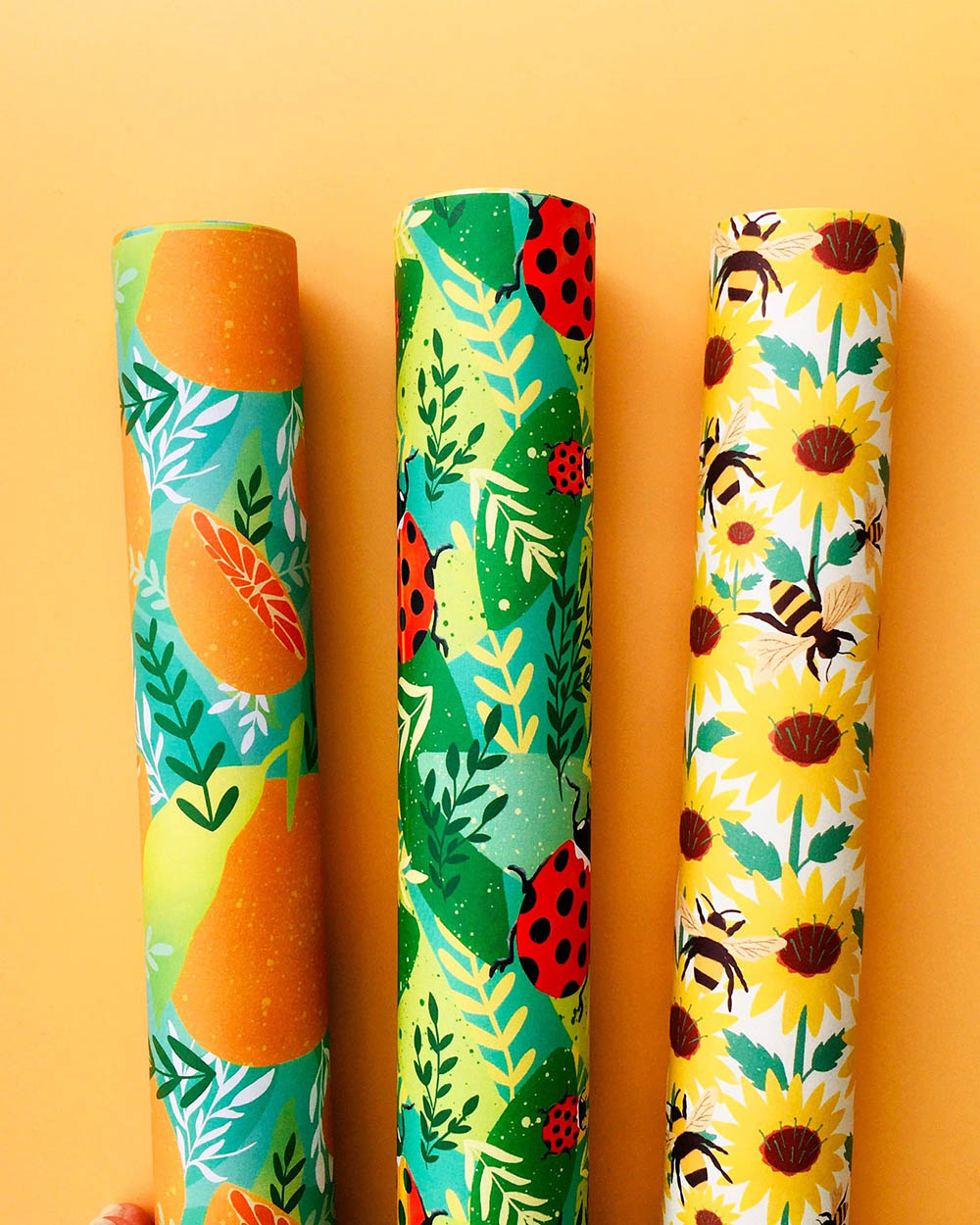 Sustainable Wrapping Paper – Conifer