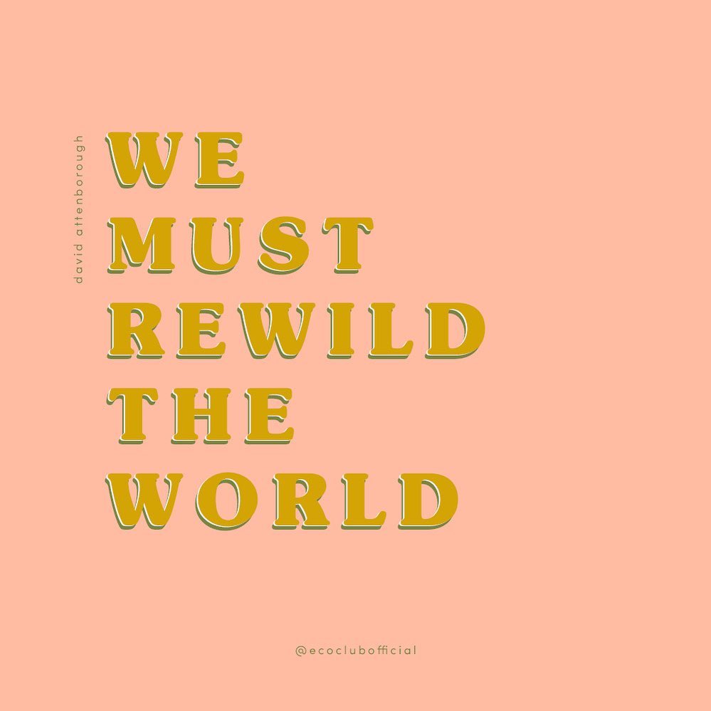 We Must Rewild The World