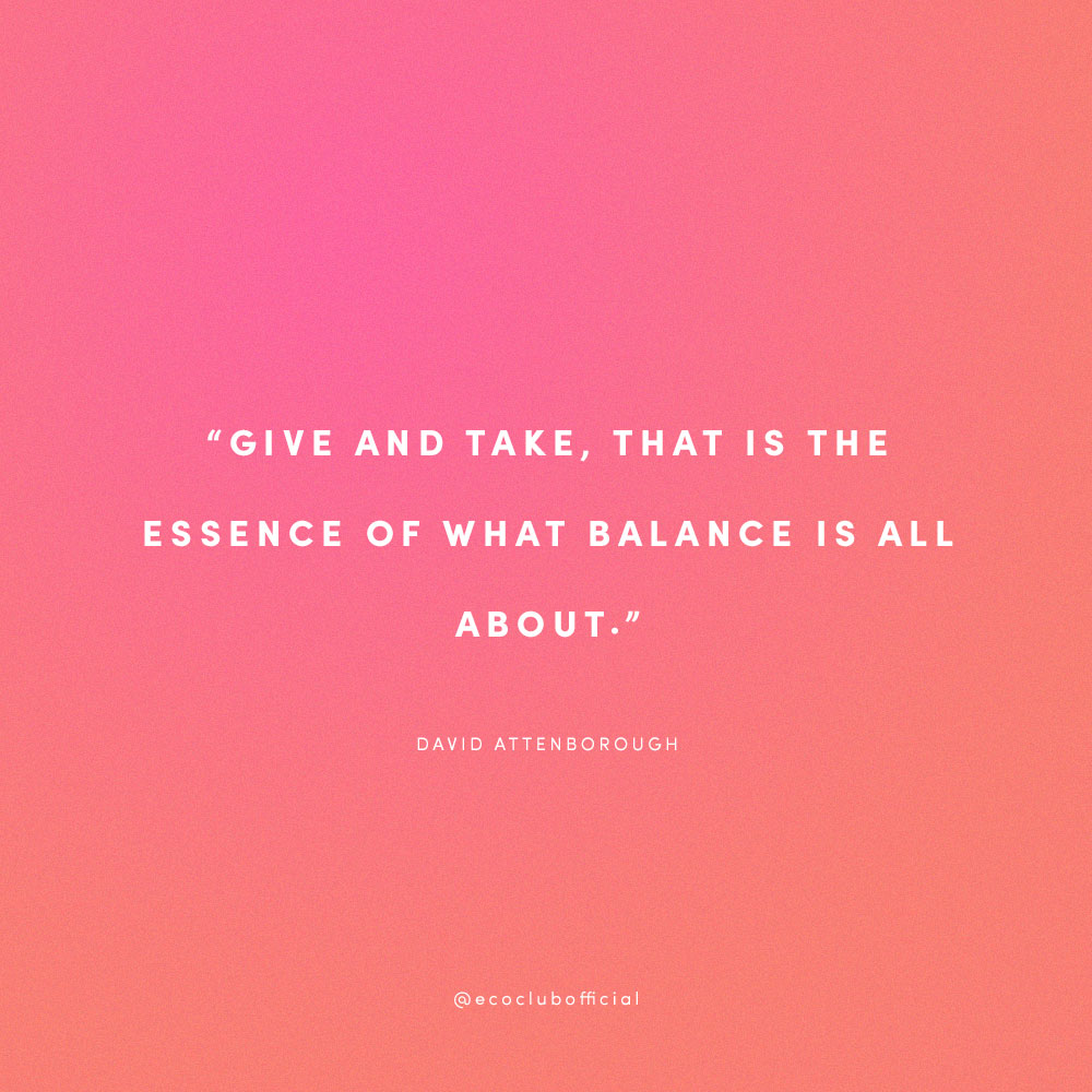 Balance Quote by David Attenborough