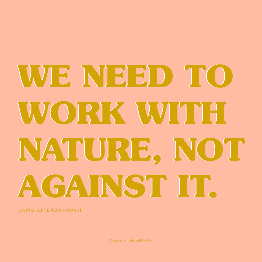 "We need to work with nature, not against it.”