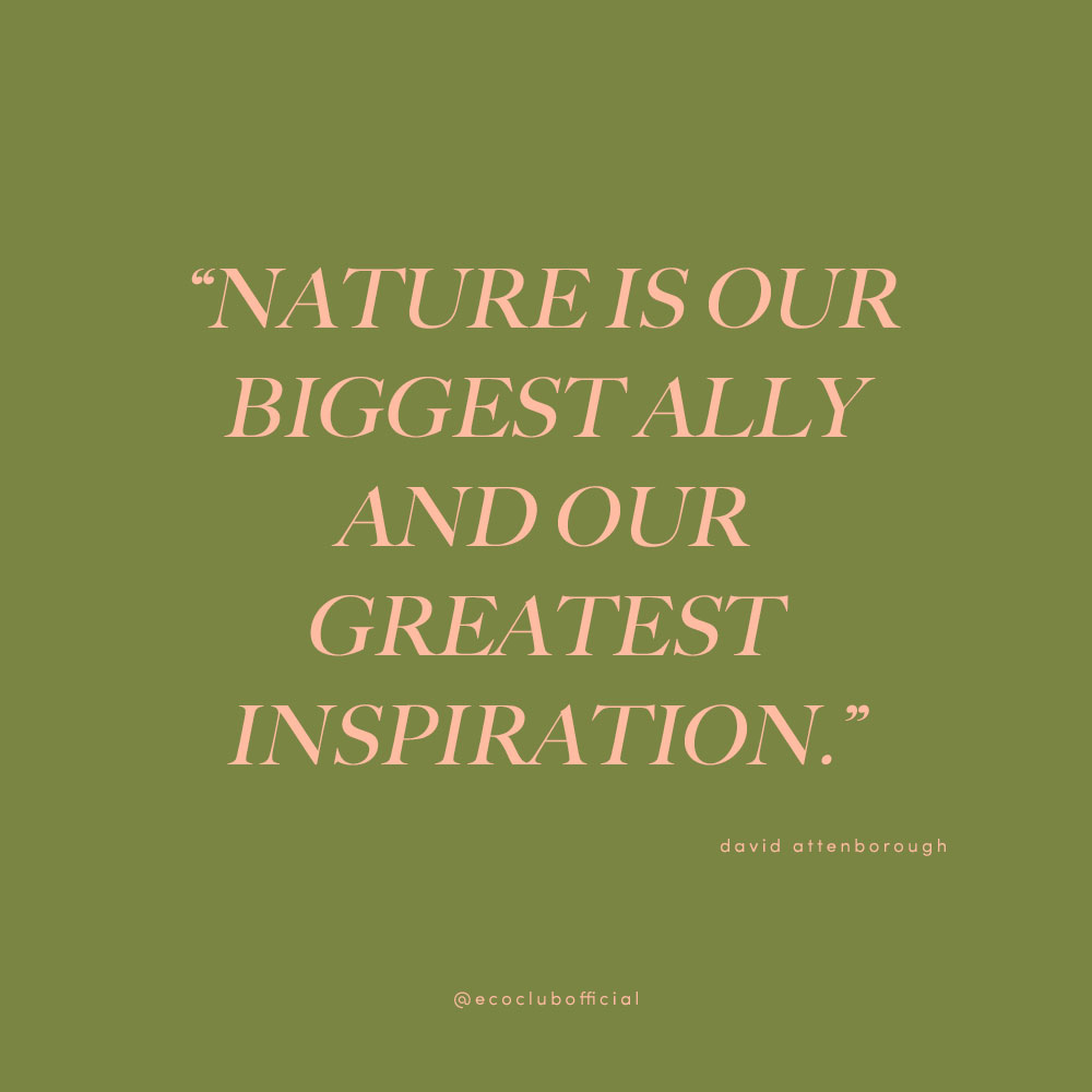 Nature is our biggest ally and our greatest inspiration - nature quotes on eco club