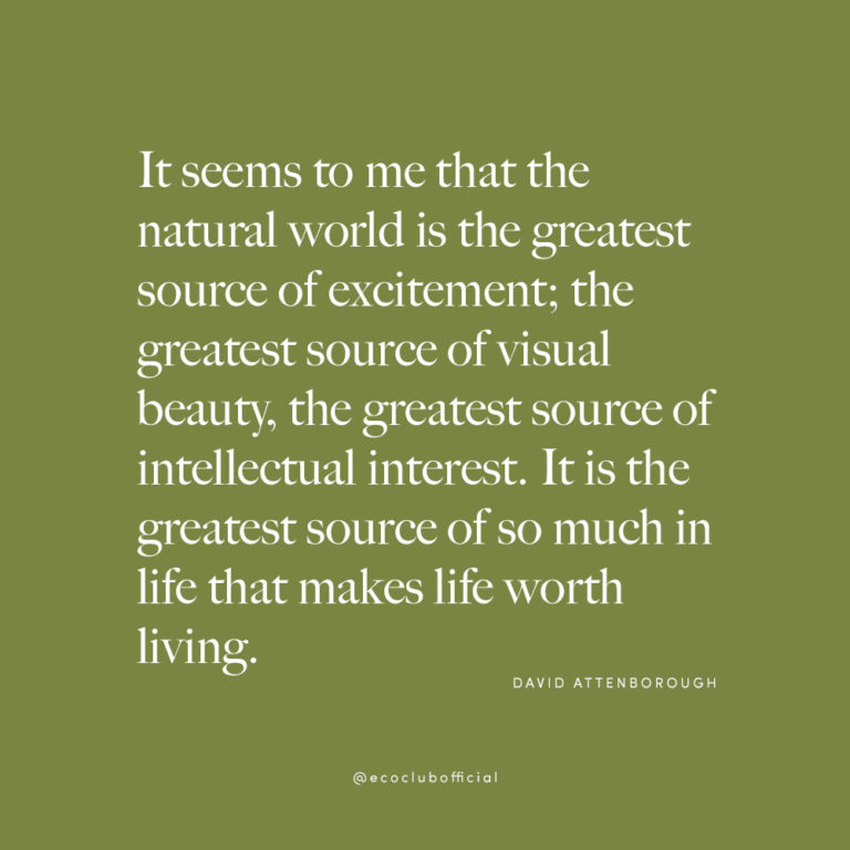 David Attenborough Quotes | Environment Quotes | Eco Club