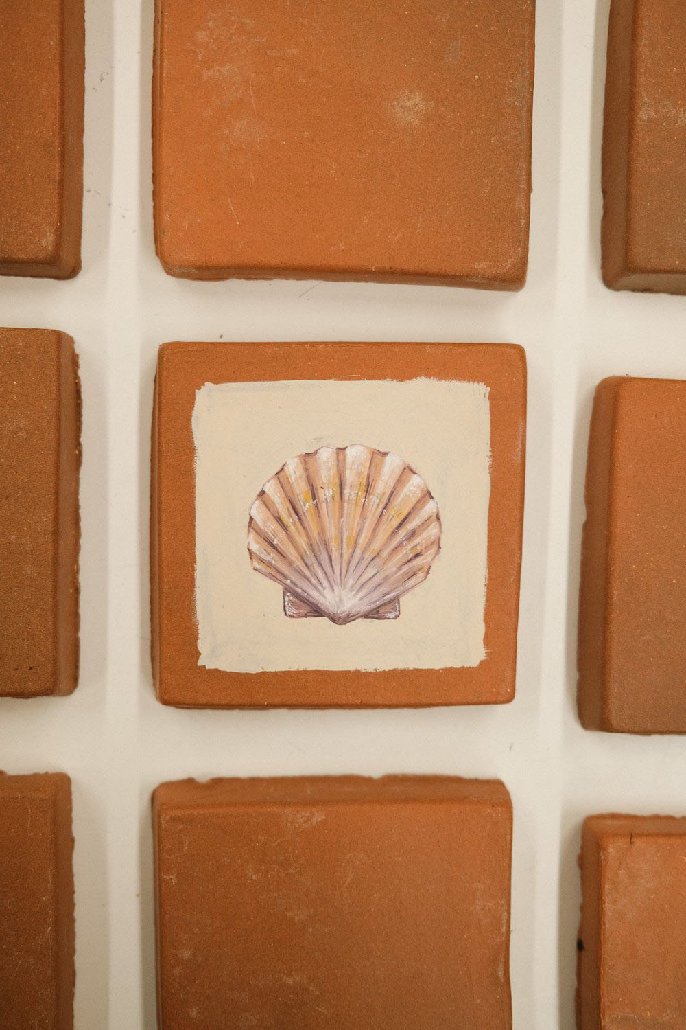 Lauren Wilcox seashell tile