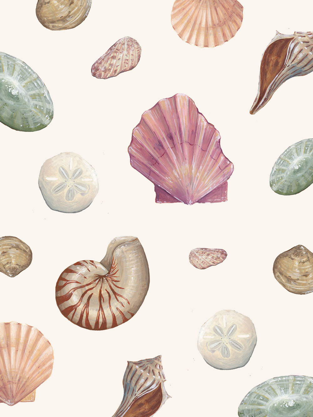 Lauren Wilcox shell collage
