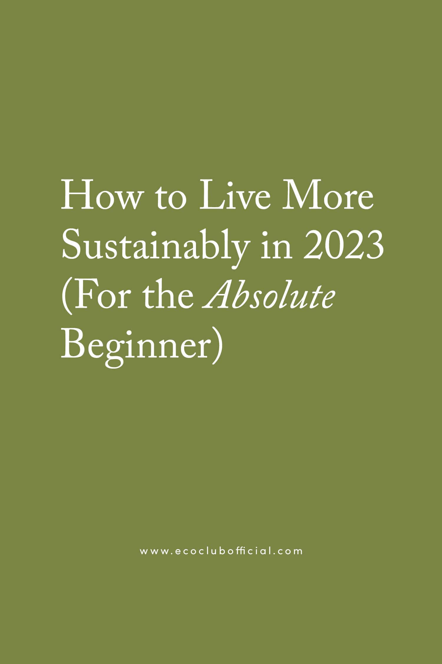 How to Live More Sustainably in 2023 (For The Absolute Beginner)