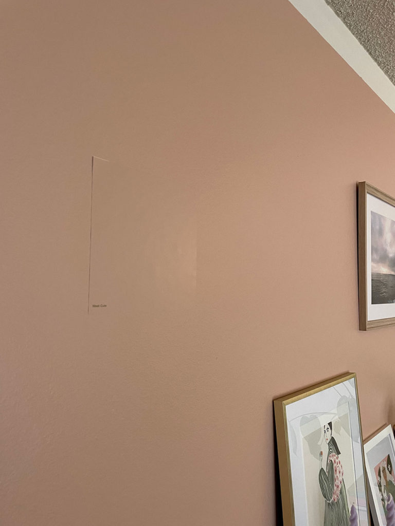 Clare Paint 'Meet Cute' Pink Accent Wall sustainable living