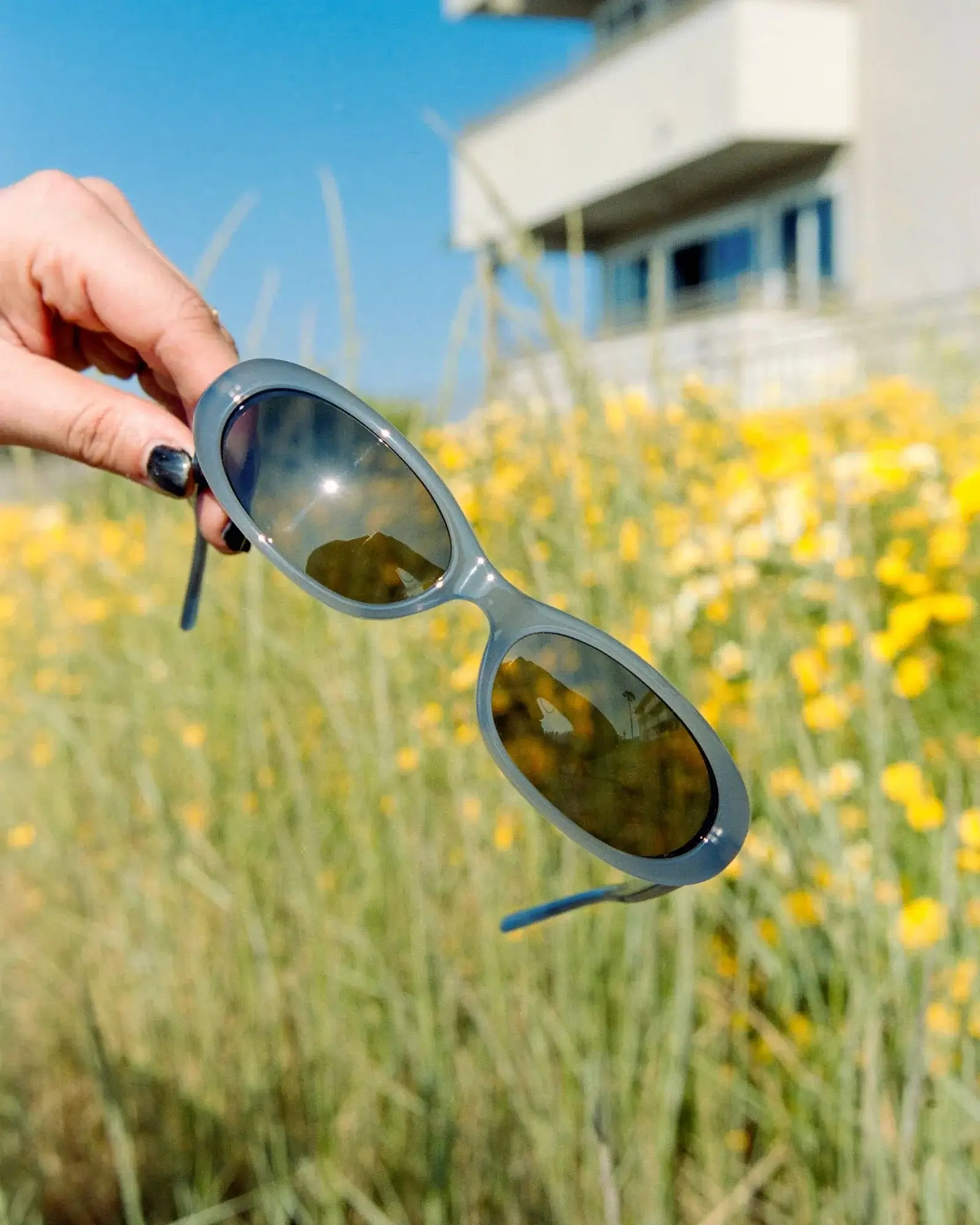 unisex acetate sunglasses by crap eyewear in front of flowers